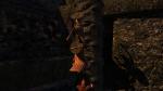 Taigi_picture168