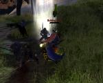 Testchen_picture046