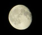 Mond