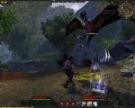 Taigabaer_picture049