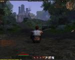 Taigabaer_picture050